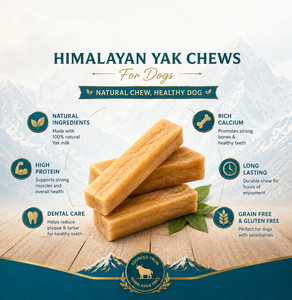 OEM ODM Golosinas de Leche de Yak del Himalaya para Perros, Premios Naturales para la Salud Dental y Articular, Altos en Calcio y Proteínas, Sin Gluten, Sin Granos - Product Image 5