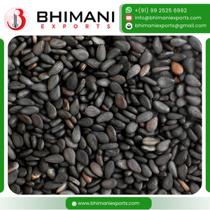 Semillas de Sésamo Negro Frescas Premium de la India, Alto Contenido de Aceite, 1-3.5mm, Limpiadas a Máquina, Certificación HALAL, Empaque a Granel para Alimentos - Product Image 2
