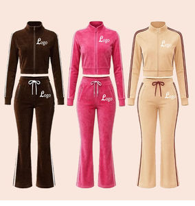 Vêtements d'hiver pour femmes Y2K, veste zippée en velours avec logo personnalisé sur le côté et pantalon de jogging, ensemble 2 pièces, survêtement en velours pour femmes - Product Image 1