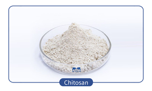 Высокочистое органическое хитозановое удобрение для сельского хозяйства - повышение урожайности и улучшение почвы - Product Image 6