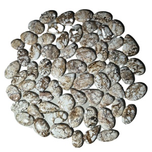 Turquesa Natural de Calidad AAA+ en Cabujón, Tamaño Libre de 20-45 mm, 8-12 g, Piedra Preciosa Suelta para Joyería Curativa - Product Image 1