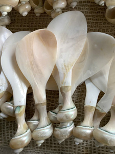 Cuillères élégantes en coquillages fabriquées au Vietnam pour la décoration de maisons de plage, les arrangements de table et les collections de boutiques. - Product Image 2