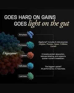Batido Nutritivo a Base de Plantas, Alto en Proteínas, Sabor Mocha, Vegano, Bajo en Grasas, Sin Gluten - Product Image 4