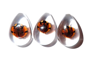 Cabochon Six Star Ladybird Beetle Pear Shape cut <b>top</b> 25x17 mm Clear Flat Bottom for Crafts and Jewelry Making - Product Image 2