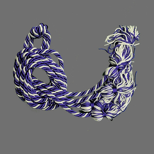High Quality Graduation Cords Eco-Friendly Waterproof Solid Color <b>Polyester</b> <b>Yarn</b> Twisted Graduation Cords Custom Color Garments - Product Image 6