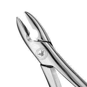 คีมถอนฟัน # เครื่องมือผ่าตัดถอนฟันแบบอเมริกัน ทำจากสแตนเลส 1S ใช้ซ้ำได้ ฆ่าเชื้อได้ด้วยหม้อนึ่ง - Product Image 3