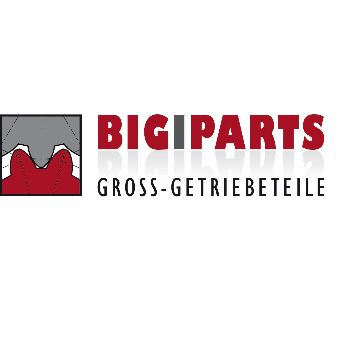 BIGIPARTS GmbH & Co. KG logo