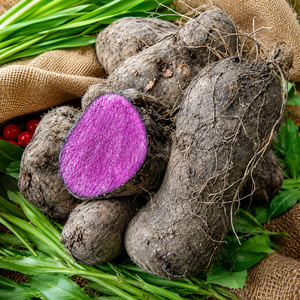 มันม่วงแช่แข็งแบบ IQF พรีเมียม ปอกเปลือกทั้งลูก พร้อมใบรับรอง HACCP และ BRC / คุณอลีนา - Product Image 6