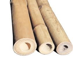 เสาไม้ไผ่คุณภาพสูง – ไม้ไผ่ธรรมชาติแข็งแรงทนทาน ราคาแข่งขัน // คุณทอม - Product Image 3