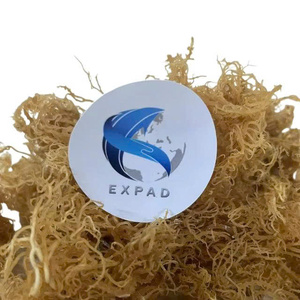 Poudre d'algues marines brutes naturelles, matière première d'algues, commande en gros pour la transformation alimentaire industrielle, excellent prix - Product Image 2
