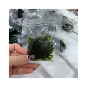 Vente en gros de raisins de mer frais, caviar vert, umibudo, provenant d'un fournisseur vietnamien fiable - Product Image 1