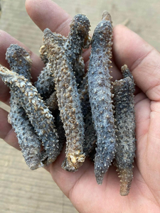 Premium Vietnamese Dried Sea Cucumber 2025 Top Quality Naturally Processed For Export - Product Image 4