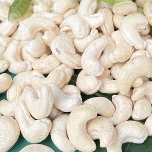 ซัพพลายเออร์เม็ดมะม่วงหิมพานต์ W180 จากเวียดนามที่เชื่อถือได้ ส่งออกไปยังสหรัฐอเมริกา สหภาพยุโรป และตะวันออกกลาง จากซานติโก - Product Image 1