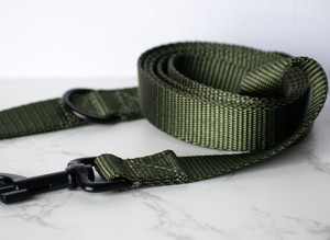 Laisse pour chien en sangle de nylon verte - Product Image 4
