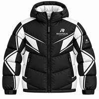 Veste matelassée pour homme de qualité supérieure, chaude et coupe-vent, style sportif avec blocs de couleur, fermeture éclair à capuche, logo frontal, coupe classique