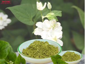 POLVO DE HOJA DE MENTA DE PESCADO ORGÁNICO PARA LA INDUSTRIA COSMÉTICA |   PROVEEDOR DE INGREDIENTES VÉGANSOS NATURALES DE ALTA CALIDAD - Product Image 1