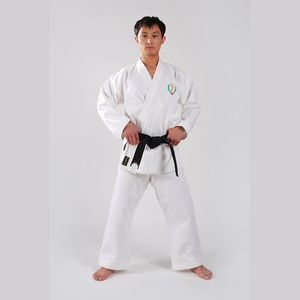 Kimono de karaté blanc pour homme, 100 % coton, respirant et léger, avec ceinture noire, gants rouges et protège-tibias - Product Image 2