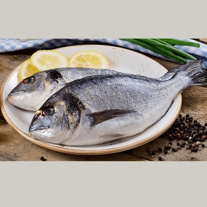 Prix de gros pour le dorade congelé destiné aux cuisines commerciales, aux commerçants en produits de la mer, aux magasins de détail et aux fournisseurs professionnels de produits alimentaires - Product Image 3