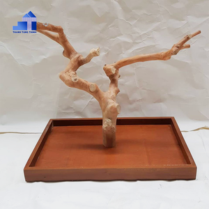 Wooden Bird Perch <b>Tree</b> <b>Stand</b> Rectangle Shape Durable Indoor Simple Style for Birds - Product Image 2