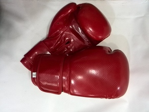 Guantes Profesionales de Boxeo para Sparring, Clásicos con Cierre de Gancho y Bucle para Entrenamiento - Product Image 3