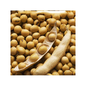 High Quality Brazil Non GMO <b>Soybean</b> GMO Free <b>Soybeans</b> For Food Manufacturing And Agricultural Trade Supply - Product Image 4