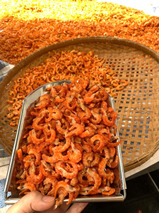อาหารทะเลตากแห้งตากแห้งกุ้งตากแห้งสำหรับการแปรรูปอาหารขายปลีกและจำหน่าย - Product Image 4