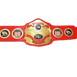 Cinturones de Campeonato Mundial de Boxeo de Peso Pesado a Precio Económico, Anillos de Boxeo y Kickboxing, Fabricante Mayorista, Personalización para Equipos - Product Image 6