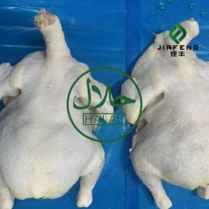 Sadia Helal Tavuk Dondurulmuş Bütün Helal Dondurulmuş Tavuk Satılık - Product Image 2