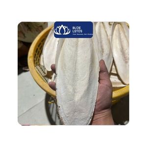 [EL MÁS VENDIDO] Hueso de Sepia Seco Natural Entero para Aves, Suministro para Aviarios y Masticación Diaria, Vietnam, Tamaños de 3-15 cm - Product Image 1