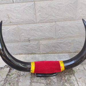 Ensemble de cornes de bœuf montées, écologiques, faites à la main, rustiques, modernes, polies, thème animalier, style western, pour décoration intérieure, Pâques - Product Image 1