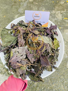 Precio de fábrica al por mayor Perilla frutescens Hojas secas Perilla hojas secas Té de hierbas 100% Secado natural de Vietnam - Product Image 4