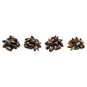 หอยแมลงภู่แช่แข็งคุณภาพเยี่ยมสำหรับขาย - Product Image 1