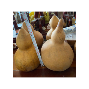 Vietchoice Premium Blank <b>Natural</b> Dried Bottle Gourd for DIY Crafting <b>Painting</b> and Carving - Product Image 6