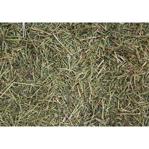 Alimento de Alfalfa Picada con Alto Contenido de Proteínas para Ganado Lechero, Mejora el Rendimiento Lácteo y la Salud Digestiva - Product Image 2