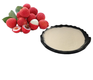 ผงน้ำผลไม้ลิ้นจี่เข้มข้นแบบแห้งบรรจุภัณฑ์แบบขายส่ง - Product Image 4