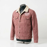 Nouvelle veste en jean sherpa pour homme, 100% coton, col montant, logo sur le devant, à capuche, chaude, pour l'hiver, style décontracté