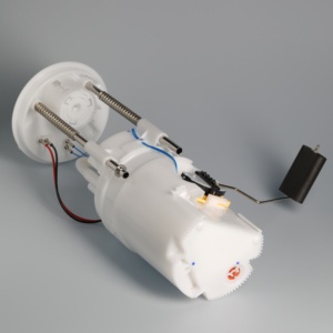 Автозапчасти 16117195463 топливного насоса для BMW X5 E70/06-13 - Product Image 4