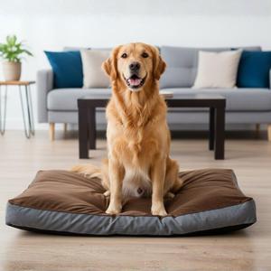 Cuccia per Animali Yommy Extra Imbottita con Base Antiscivolo da 10cm, Materasso Morbido e Spesso in Peluche per Cani e Gatti - Product Image 5