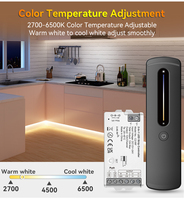 Contrôleur LED 2-en-1 12V-24V RF2.4G 30M avec prise en charge de la télécommande et de l'application