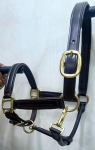 Cabestro para Caballo Estilo Inglés, Hecho a Mano, Negro, Resistente, Doble Ajuste, con Acolchado y Costuras de Cuero - Product Image 2