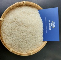Riz parfumé brisé à 100 %, riz blanc moulé, origine Vietnam, pour le marché africain