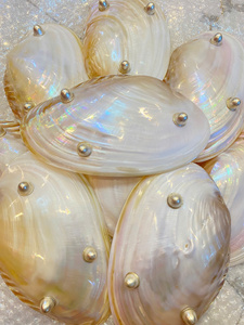 Plato de Caviar de Nácar de Lujo de Nuevo Diseño, Concha de Perla Natural, Color Natural Certificado por Terceros para la Fabricación de Joyas al por Mayor - Product Image 4