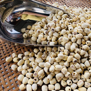 Semillas de Loto Secas Enteras de Buena Calidad, Semillas de Loto Crudas de Alta Calidad para Té, Beber después de mezclar con agua - Product Image 1
