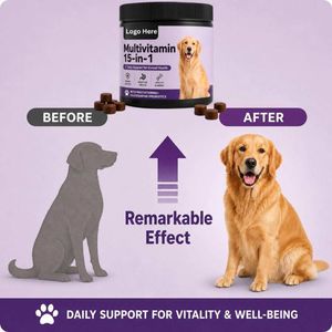 Probióticos y Masticables Multivitamínicos para Perros OEM, Marca Privada, Soporte Inmunológico, Salud Digestiva, Suplemento Vitamínico, Masticables Blandos para Mascotas - Product Image 6