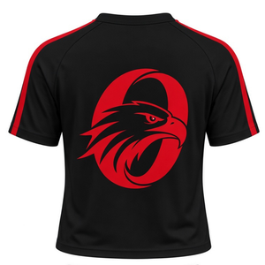 เสื้อเจอร์ซีย์เชียร์สีดำแดงแบบกำหนดเอง แขนสั้น เสื้อกีฬาประสิทธิภาพสูง ชุดทีม เสื้อทีมสำหรับฝึกซ้อมและแข่งขัน - Product Image 2