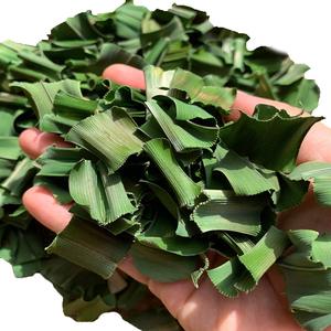 Polvo de hoja Pandan sabor verde natural alta calidad precio barato suministro a granel de Vietnam - Product Image 2