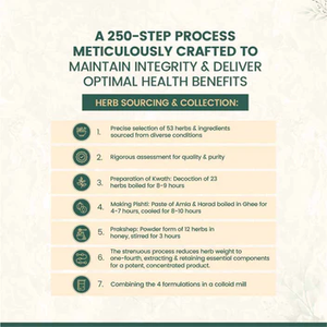 Maharishi Amrit Kalash Comprimés d'extraits de plantes sauvages, double pack, sans sucre, complément ayurvédique à base de plantes pour le soutien quotidien du bien-être - Product Image 2