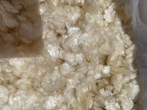 เกล็ดปลาแห้งแบบขายส่ง ทำความสะอาดแล้ว ตากแดดแห้ง จากเวียดนาม - Product Image 4