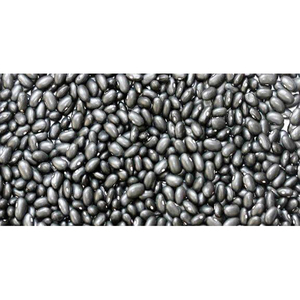 Venta al por mayor de frijoles negros a precio económico, disponible en grandes cantidades. - Product Image 4