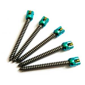 Premium Quality Polyaxial <b>Screw</b> <b>Set</b> Stainless Steel Veterinary Orthopedic Surgical Instruments Autoclavable CE ISO Certified - Product Image 1